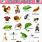 Types of Small Animals