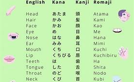 Japanese Vocabulary
