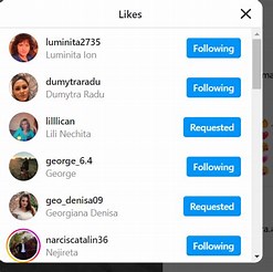 Instagram Followers List