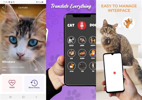 Aplikasi Bahasa Kucing