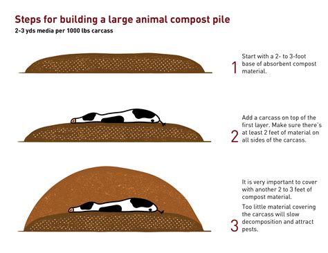 Composting Farm Animals