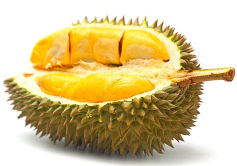 Durian for Brain Health