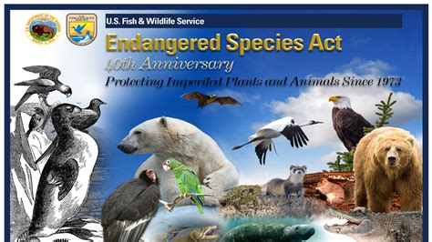 Endangered Species Conservation