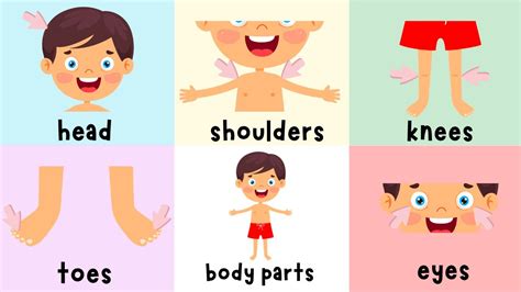 Head Shoulders Knees and Toes Parts of Body