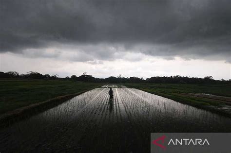 Hujan ringan di Indonesia