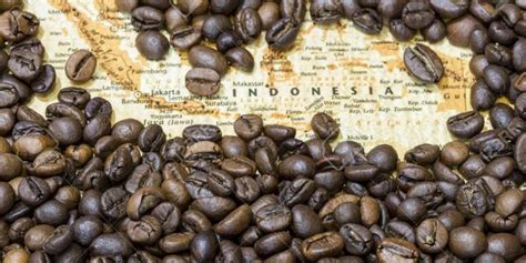 Indonesia Coffee