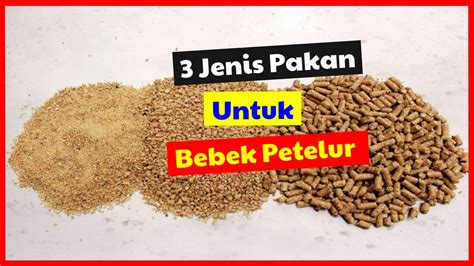 Jenis-Jenis-Bahan-Bebek