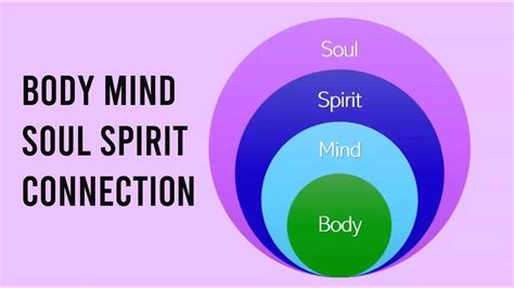 Mind-Body-Soul Connection