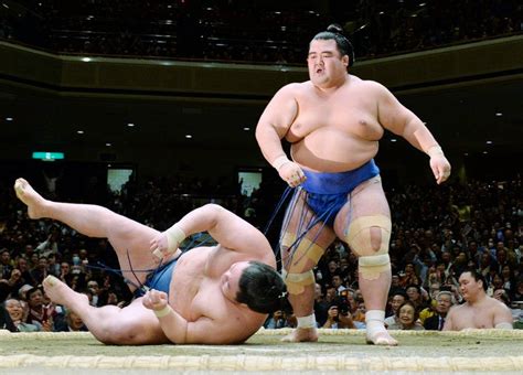 Bermain Sumo Jepang