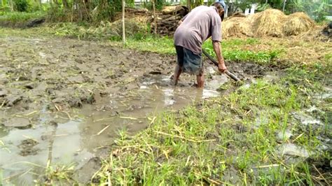 Pendidikan Pak Tani Maculi Sawah Wasesane: Meningkatkan Produktivitas Pertanian di Indonesia