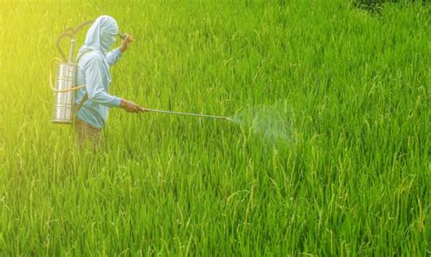 Hindari Penggunaan Pestisida Berlebihan
