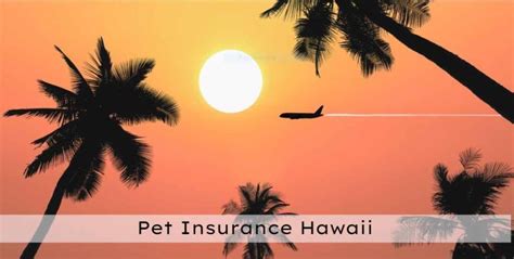 Pet Insurance in Hawaii