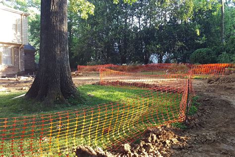 Prepare Ground for Tree Fences