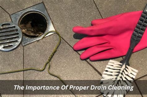 Proper Drain Cleaning