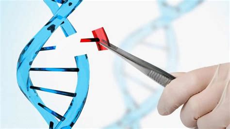 Teknologi Rekayasa Genetik