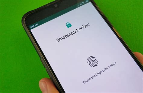 WhatsApp Privasi