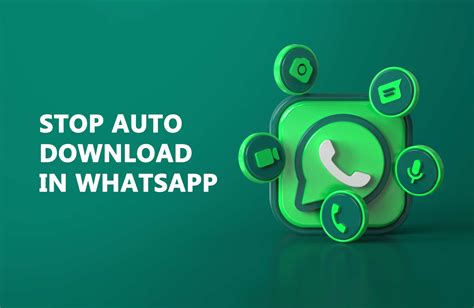 auto download feature whatsapp