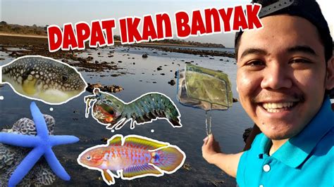 berburu ikan pantai indonesia