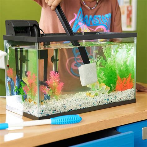 clean aquarium