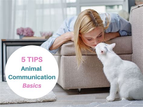 Communication in Animal Farm