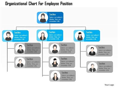 The Employee's Role in the Organization