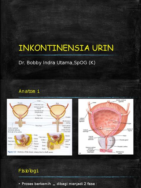 inkontinensia urin