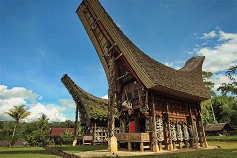 Kalamba Toraja