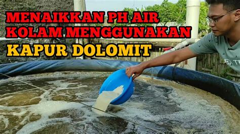 Manfaat Kapur Dolomit dalam Pengolahan Kolam Ikan di Indonesia