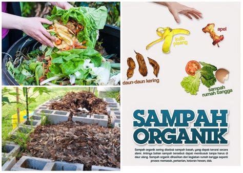 mengolah sampah organik untuk kompos