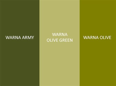 perbedaan warna olive dan hijau lumut