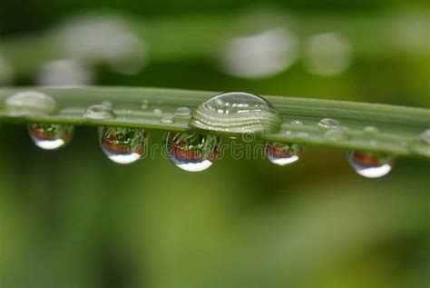 rain drop magnified