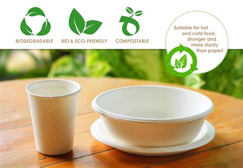 recyclable plates and cups