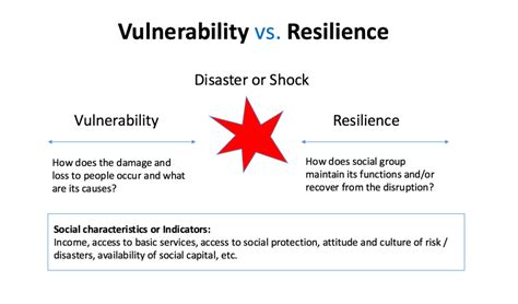 resilience and vulnerability