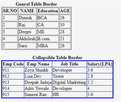 tabel html dengan border