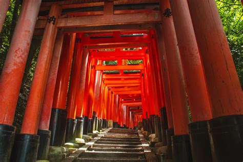 Tori merah di Fushimi Inari, Kyoto