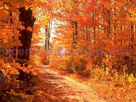 Colorsofautumn free only vault Telegram channel preview