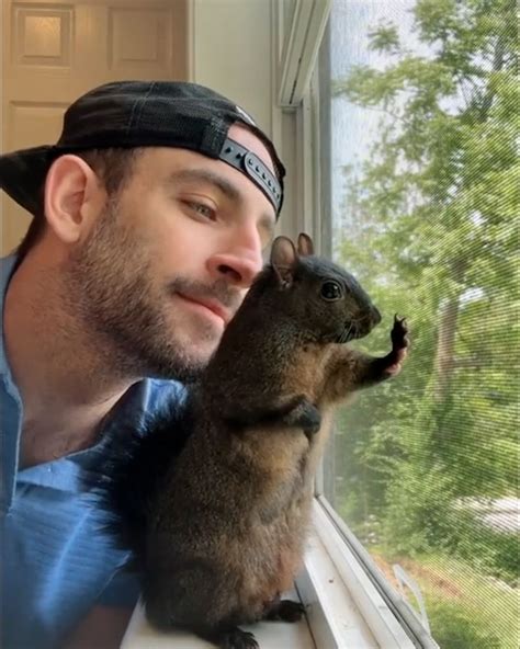 Squirrel daddy unlock fans Telegram channel preview