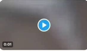 Taliya and gustavo sex videos telegram patreon sexy leaks Telegram channel preview