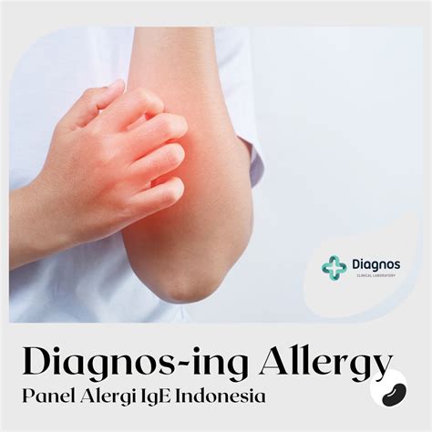 Alergi Indonesia