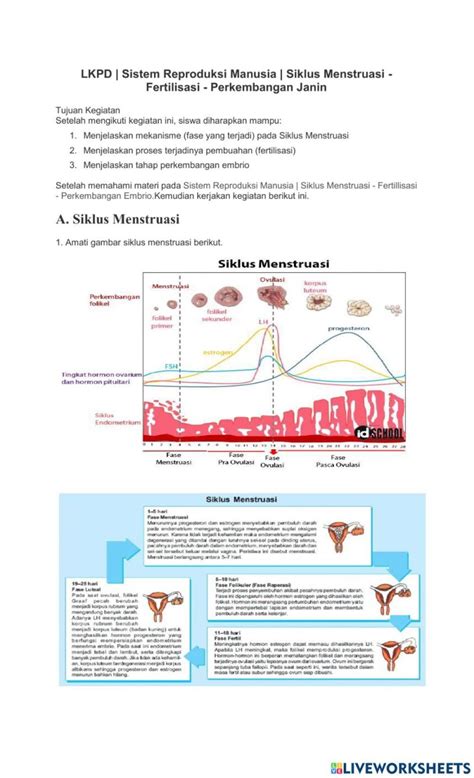 Tabel Kehamilan Indonesia