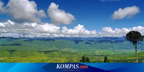 Bukit