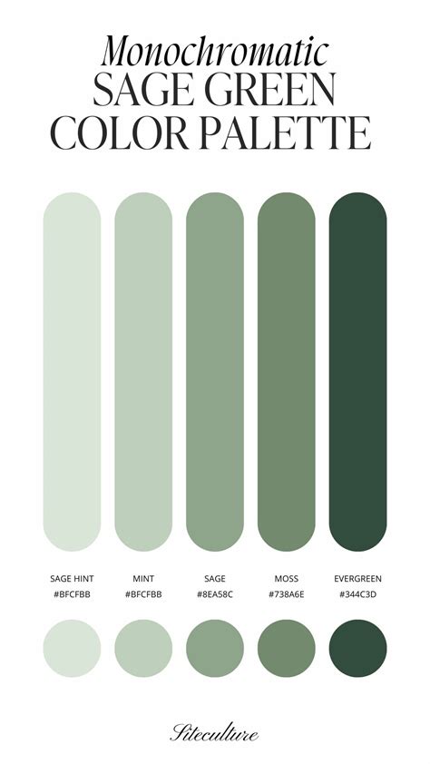 monochromesagegreenicon