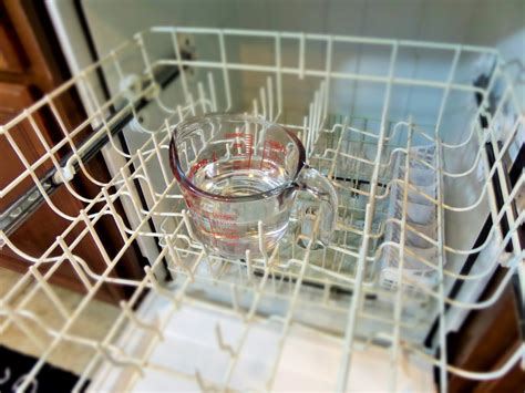 how to prevent mold in dishwasher