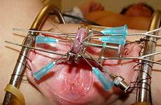 clit needles clitoris pierced master4pigslave clitorectomy temporary play pussymodsgalore galore tumbex