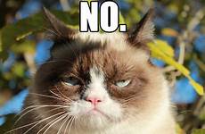 cat grumpy saying funny meme angry memes way says cats animals just oh wallpaper its pic
