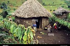 zaire afrikanisches dorf africa virunga berge adams