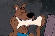 gif scooby doo dog hungry giphy cartoon scoobydoo gifs everything has