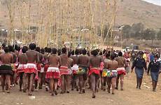 zulu reed dance south africa ceremony umemulo festival african traditional dress virginity testing girls umkhosi southern royal nongoma nation ritual