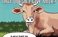 cow milk puns animal cows onpasture dud bookworm pasture captions ethan humour
