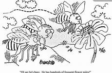 pollination pollen cartoonstock dislike